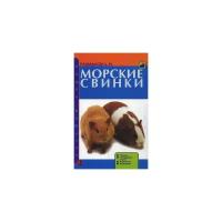 Морские свинки. Породы. Содержание и уход. Кормление. Разведение