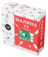 Конструктор Амперка AMP-S056 Малина v4 (4 ГБ)