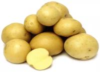 Картофель сорта "Гала" мешок 1 кг, ранний семенной, обладает высокой урожайностью, хорошо переносит хранение, имеет необычайно насыщенный картофельный