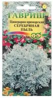 Семена цветов Цинерария приморская "Серебряная пыль", 0,05 г