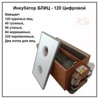 Инкубатор для яиц автоматический блиц - 120 Цифровой (120 куриных яиц) 1 шт