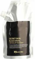 Secret Skin Маска для волос с муцином улитки Black Snail Protein LPP Treatment, 480 мл