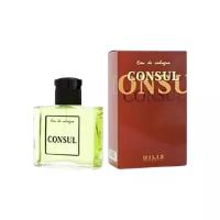 DILIS Consul men 100 ml edc