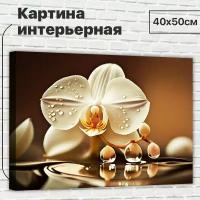 Картина интерьерная на стену ДоброДаров "Белая орхидея" 40х50 см XL0368