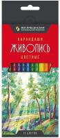 Набор цветных карандашей ВКФ Живопись, заточенный 12 цветов JIV-CP-1012