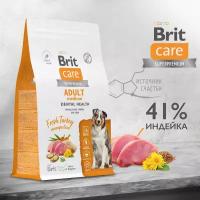 Сухой корм BRIT CARE супер-премиум с индейкой для взрослых собак средних пород "Dog Adult M Dental Health" 1,5 кг