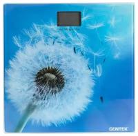 Весы электронные CENTEK CT-2421 Spring Flower, голубой