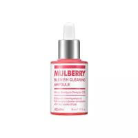 A'PIEU Mulberry Blemish Clearing Ampoule Сыворотка для лица