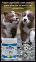 Добавка в корм для собак Canina Canhydrox GAG Forte (600г/360таб)