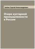 Очерк кустарной промышленности в России