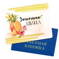 Обложка на зачетную книжку полноцвет Ананас 2644891