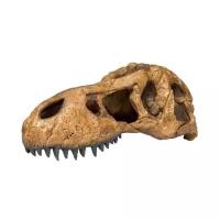 Череп для террариума Exo Terra T-Rex Skull 25х14х13 см