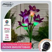 Светильник на солнечной батарее "Лилия фиолетовая" 70 см, 4 LED, RGB 7291263