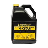 Масло для садовой техники Champion 4-Cycle SAE30 4 л