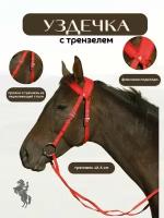 Sweethorse / Уздечка с трензелем и поводом для лошади Cob