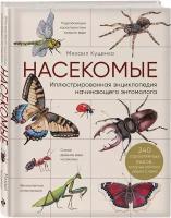 Куценко М. Насекомые. Иллюстрированная энциклопедия начинающего энтомолога. 240 популярных видов, которые обитают рядом с нами