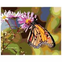 Картина по номерам "Бабочка на цветке", 40x50 см