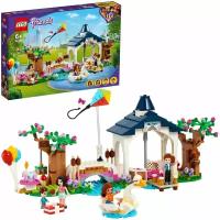 Конструктор LEGO Friends Парк Хартлейк Сити 41447