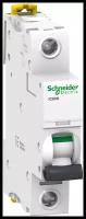 Автоматический выключатель Schneider Electric iC60N A9F79106 1П 6А C 6кА