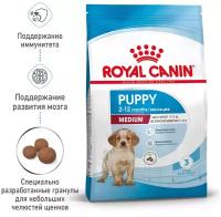 ROYAL CANIN MEDIUM PUPPY для щенков средних пород (3 + 3 кг)