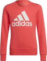 Джемпер Adidas G BL SWT Дети HE1984 122