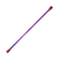Гимнастическая палка (бодибар), арт.MR-B06, вес 6кг, дл. 120 см, стальная труба, фиолетовый