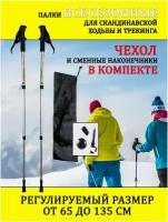 Палки для скандинавской ходьбы и трекинга 2 штуки с чехлом