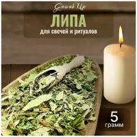 Сухая трава Липа (лист) для свечей и ритуалов, 5 гр