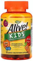 Пастилки Nature's Way Alive! Kids Multivitamin Gummy, 60 шт