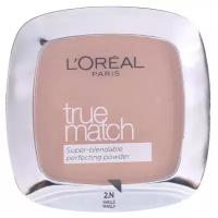 L'Oreal Paris Пудра для лица True Match Super Blendable Perfecting Powder