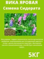 Вика Яровая, семена сидерат 5 кг