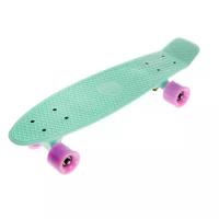 Круизер Fish Skateboards 22"мятный