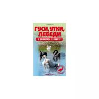 Гуси, утки, лебеди в домашнем хозяйстве. Содержание и разведение | Рахманов Александр Иванович