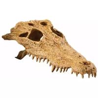 Череп для террариума Exo Terra Crocodile Skull 23х12х7.5 см