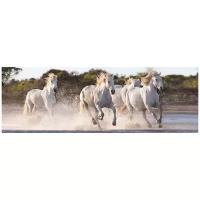 Пазл Clementoni High Quality Collection Panorama Белые лошади (39371)