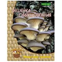 Агрохолдинг Поиск Мицелий грибов Вешенка обыкновенная на деревянных палочках 12 шт