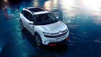 Картина на холсте 60x110 Альянс Лес "Серебристый кроссовер Citroen" на подрамнике / интерьер/ декор