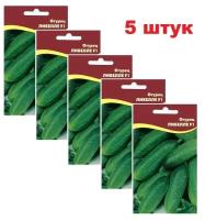 Семена Огурцов (5 упаковок) Либелле F1 на рассаду для теплицы и в грунт самоопыляемые лучшие ранние семена сорта огурцов 2023