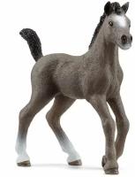 Животное французский жеребенок Selle Francais Foal