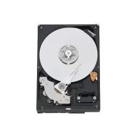 Жесткий диск Western Digital 320Gb (WD3200AAKS)