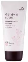 Увлажняющий крем для рук с кактусом Flor DE Man Jeju Prickly Pear Hand Cream, 80 мл