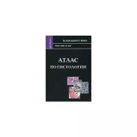Атлас по гистологии. Для студентов, обучающихся по специальности Ветеринария | Мусиенко Н. А