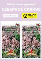 Семена Душица (Орегано) обыкновенная "Северное сияние", 2 упаковки + 2 Подарка