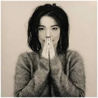 Виниловая пластинка Bjork - Debut LP