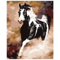 Картина по номерам "Скачущий конь", 40x50 см