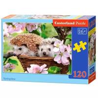 Пазл Castorland Puzzle Ежики 120 деталей 32х23см B-13319 6+