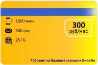 Тариф для звонков 1000 мин, 500смс 300р/мес