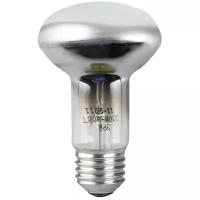 Лампа накаливания ЭРА C0040650, E27, R63