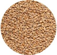 Пшеница для брожения, самогона, на корм скоту 1 кг