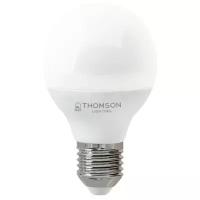 Светодиодная лампа Hiper THOMSON LED GLOBE 8W 690Lm E27 6500K